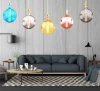 Decorative colorful housing residential Global pendant lights G250 replaceable housing cover Customized