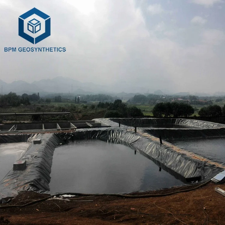 geomembrane plastic fish pond