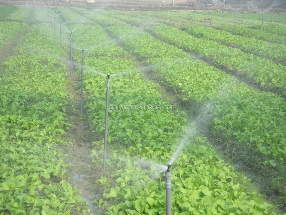 Hot-selling agriculture water sprinkler for irrigation
