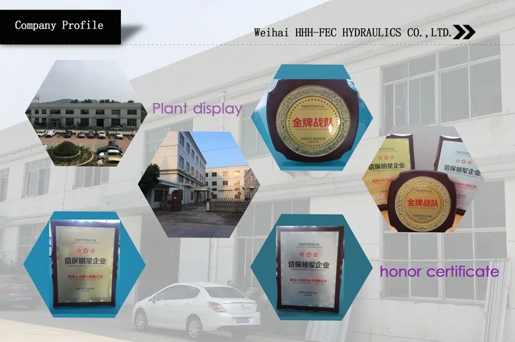 hydraulic double gear pump large flow
