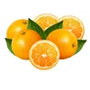Wholesale best price orange fruit