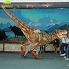 KANOSAUR2904 Home Decoration Attractive Dinosaur Raptor Costume