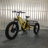 /product-detail/48v-3-wheel-seat-three-wheeler-electric-tricycle-with-lcd-panel-60733080942.html