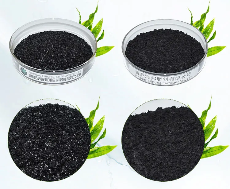 Seaweed Extract Flake For Agriculture Fertilizer Import