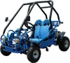 /product-detail/hot-sale-110cc-4-stroke-funny-children-go-kart-chain-transmission-buggy-tkg110-d--60741503054.html