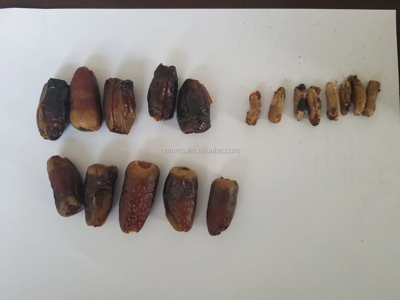 dry dates pitting machine dates pitter machine palm seeds