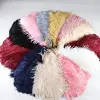 Dyed Color Wedding Ostrich Feather