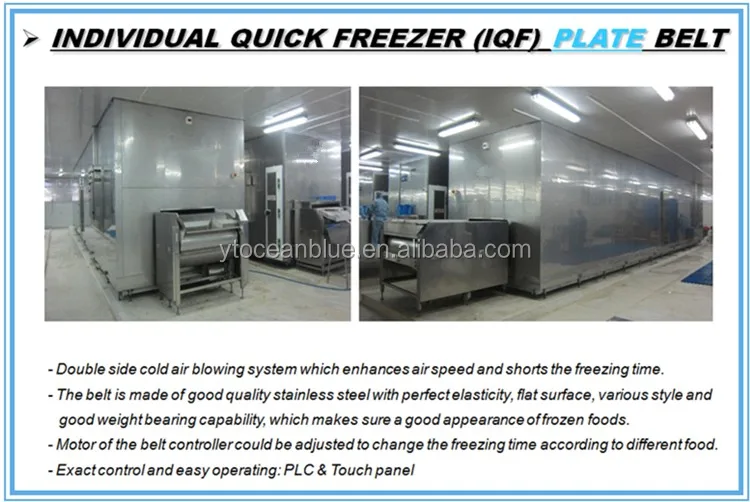 Blast Freezer, IQF, 380V, 2000kg - detail 20