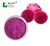 Instant Dried Fruit Powder Red and White Dragon Fruit Powder Pitaya Fruit Juice Powder