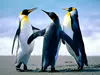 Technology consulting, training, project and change management