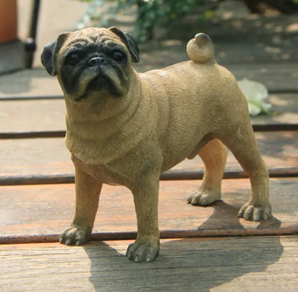 pug dog figure 5