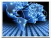 Remote Database Management (DBA) Service