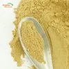 /product-detail/100-organic-san-pedro-cactus-extract-cactus-plant-extract-powder-10-1-60775826557.html