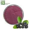 Pure Natural Bulk and Wholesale Powder Aronia Berry/Chokeberry Powder