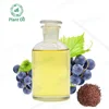 Bulk sale food grade edible black currant seed oil same as grape seed oil for vegetable cooking oil