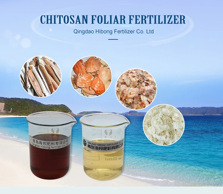 Bulk Chitosan Liquid Fertilizer Liquid Chitosan Foliar Fertilizer