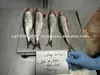 /product-detail/atlantic-herring-whole-133890491.html