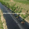 /product-detail/agriculture-mulch-weed-fabric-pp-woven-weed-barrier-mat-spunbonded-polypropylene-ground-cover-fabric-60821642504.html