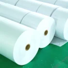 35gsm Food Grade White Kraft Paper for Paper Bag