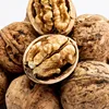 /product-detail/wholesale-raw-walnuts-in-shell-natural-high-quality-walnut-60841389726.html