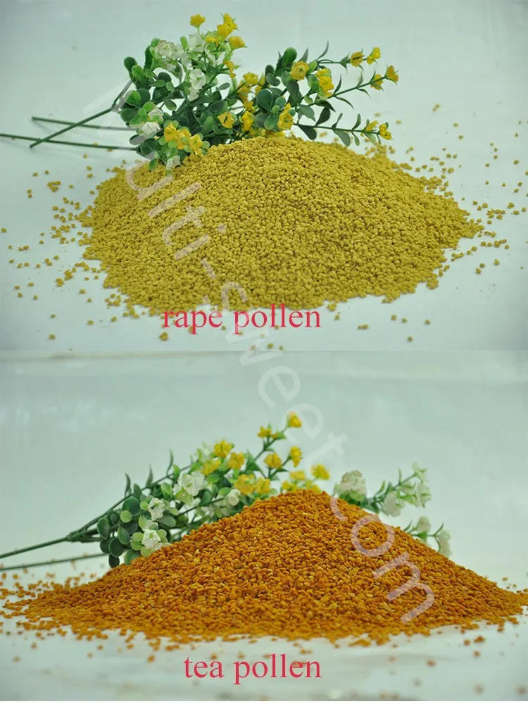 bee pollen01.jpg
