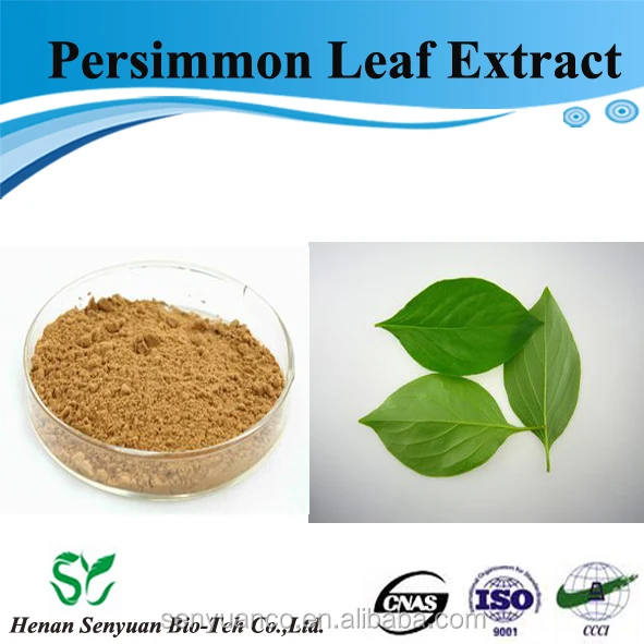 persimmon leaf powder /persimmon leaf extract powder from high