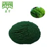 /product-detail/factory-wholesale-health-supplement-of-spirulina-powder-60-protein-60238131238.html