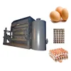 Pulp moulding egg Reciprocating egg trays machine egg tray production line price