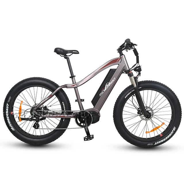 1000w ebike