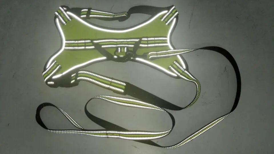 reflective dog collar .jpg