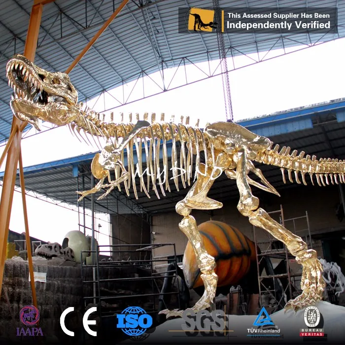 life size dinosaur skeleton for sale