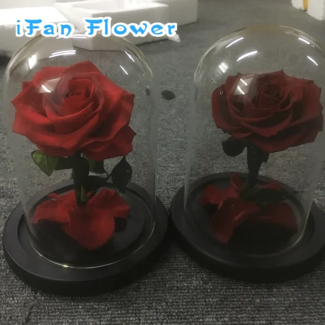 event and home decorative preserved rose gift for best friend