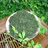 New Arrival Healthy Wild Organic gynostemma tea Seven Leaf Jiaogulan Tea 500g