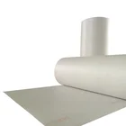 Electrical Insulation Material Paper Mylar Paper 6640 NMN Nomex Polyester Film Composite for Motor