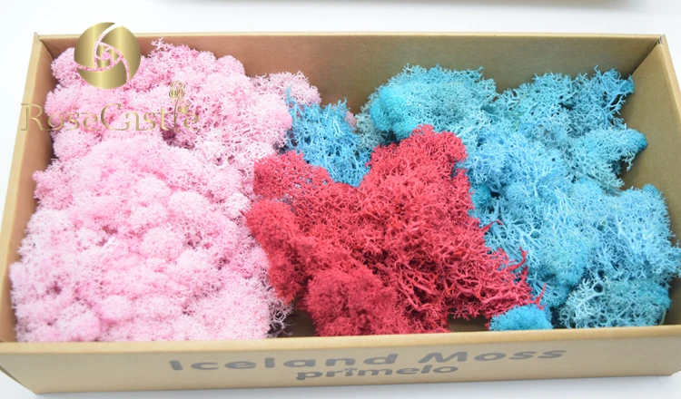 factory price new high quality real touch 200g preserved moss