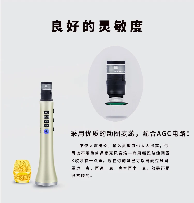 Professional DSP sound chipset ,Karaoke Microphone wireless BT speaker Family KTV L698DSP 20W Loud speaker - ANKUX.COM