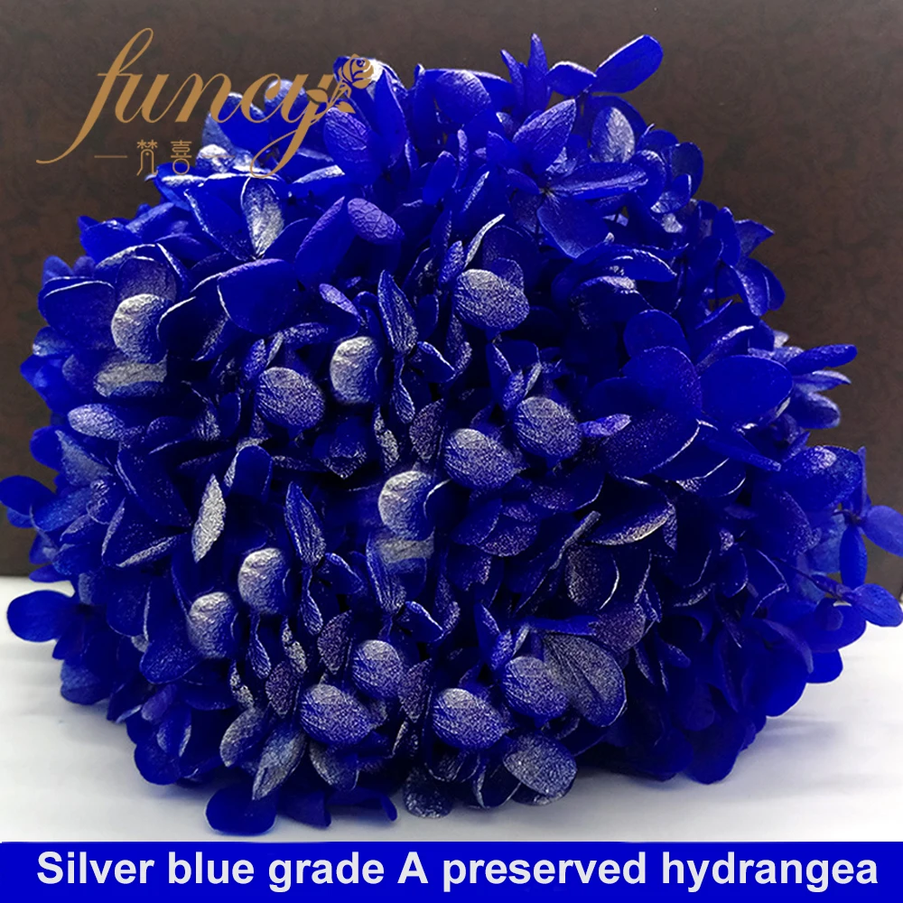 hydrangea preserved flowers