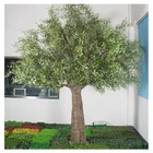 Customized Size Fiberglass Trunk Artificial Olive Trees for Landscape Decoration Plant Type