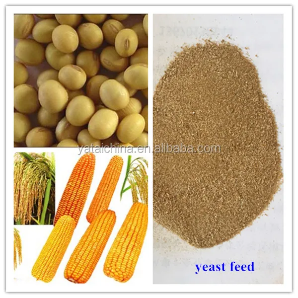 animal feed yeast feed animal feed concentrate