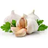 /product-detail/fresh-garlic-white-garlic-62175722985.html