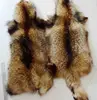 Genuine Animal Skin Raccoon Dog Fur / Real Natural Fur Skin / White Raccoon Skin