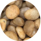 Landscape Decorative Cheap Yellow Pebble Cobblestone for Sale