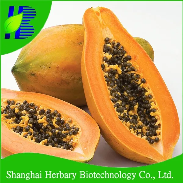 High Germination Papaya Seeds For Growing Buy Papaya Seed For Sale