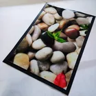 Anti-slip and waterproof printed pvc mat roll