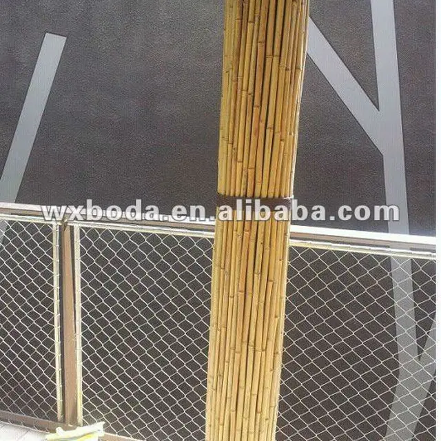 moso bamboo poles