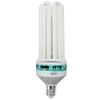 China Top 3 Manufacturer Hydroponics 125w 150w 200w 250w 300w Energy Saving Lamp Plant Growing CFL