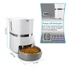 Automatic Pet Feeder Pet Food With Stainless Steel Food Bowl Cats Dogs