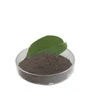 100% pure guarana extract,10% guarana extract ,pure caffeine guarana extract powder