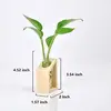 Decorative Crystal Glass Test Tube Vase in Wooden Stand Flower Pots for Hydroponic Plants Home Garden Decoration
