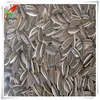 /product-detail/sunflower-seeds-type5009-market-price-1987825053.html